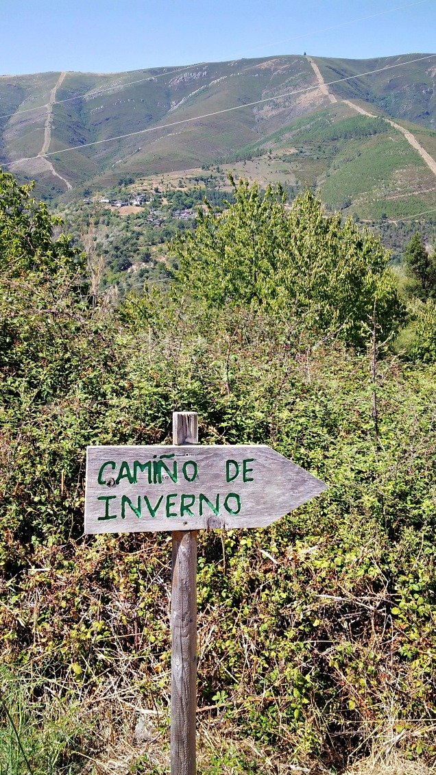 camino-de-invierno-a-santiago foto de flecha del camino