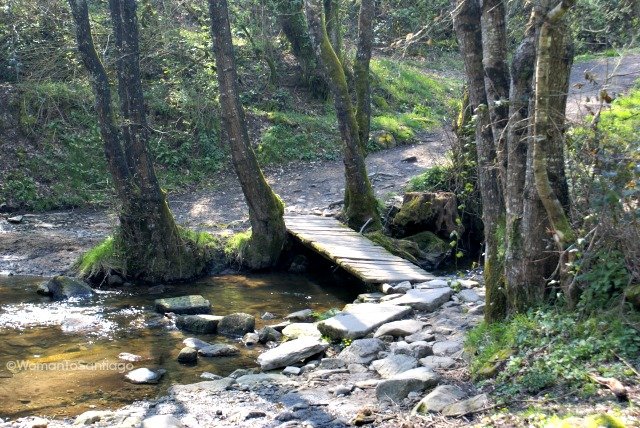 foto de puente del camino