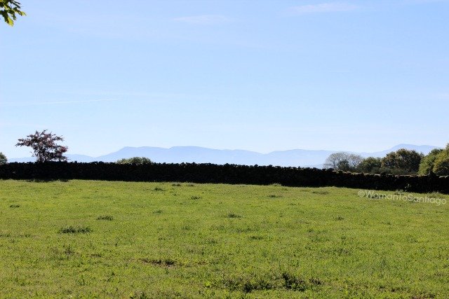 barbadelo-camino-frances