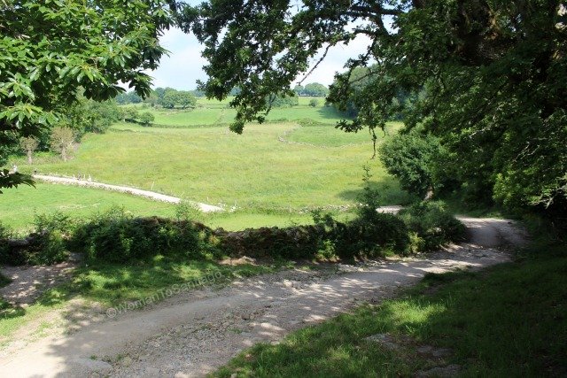 camino-frances-taller-del-camino-womantosantiago-senda