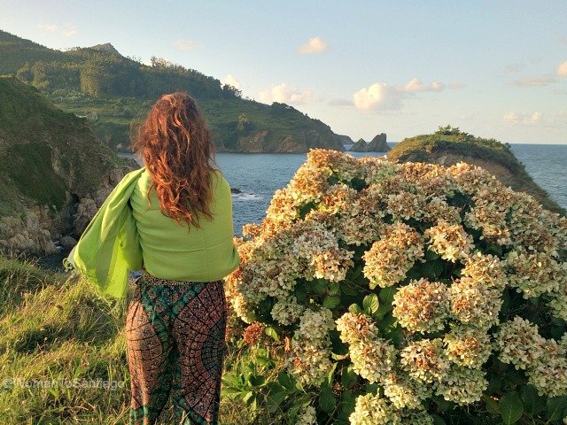 camino-del-mar-carino-a-coruna-acantilado-hortensias