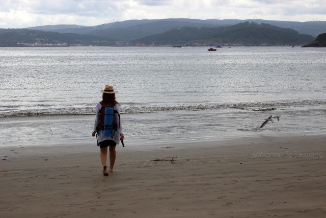 playa-basteira-camino-del-mar-carino-a-coruna-gaviota