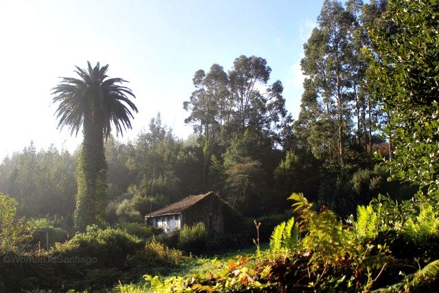 foto de casa en el bosque