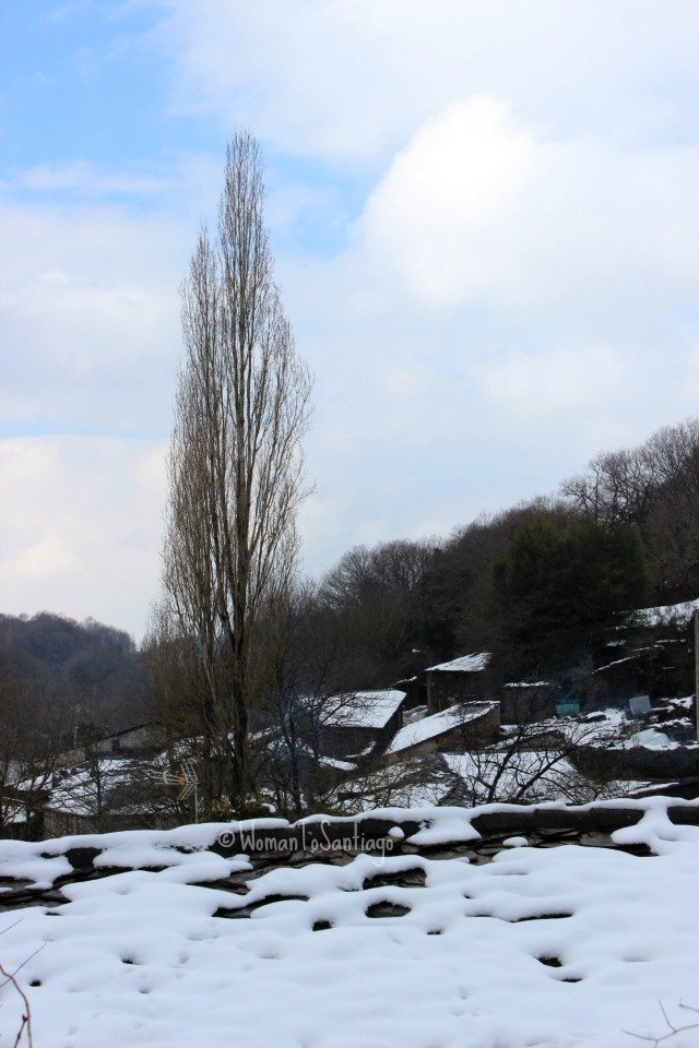 camino-de-santiago-frances foto de cristovo nevado
