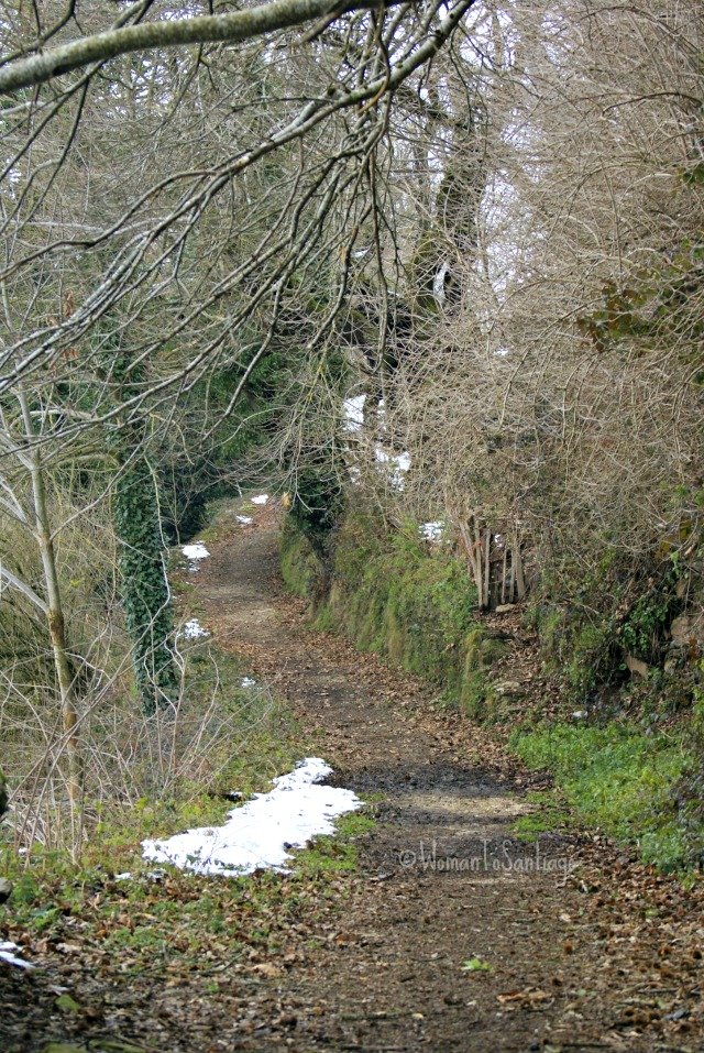 camino-de-santiago-frances foto de la senda en cristovo