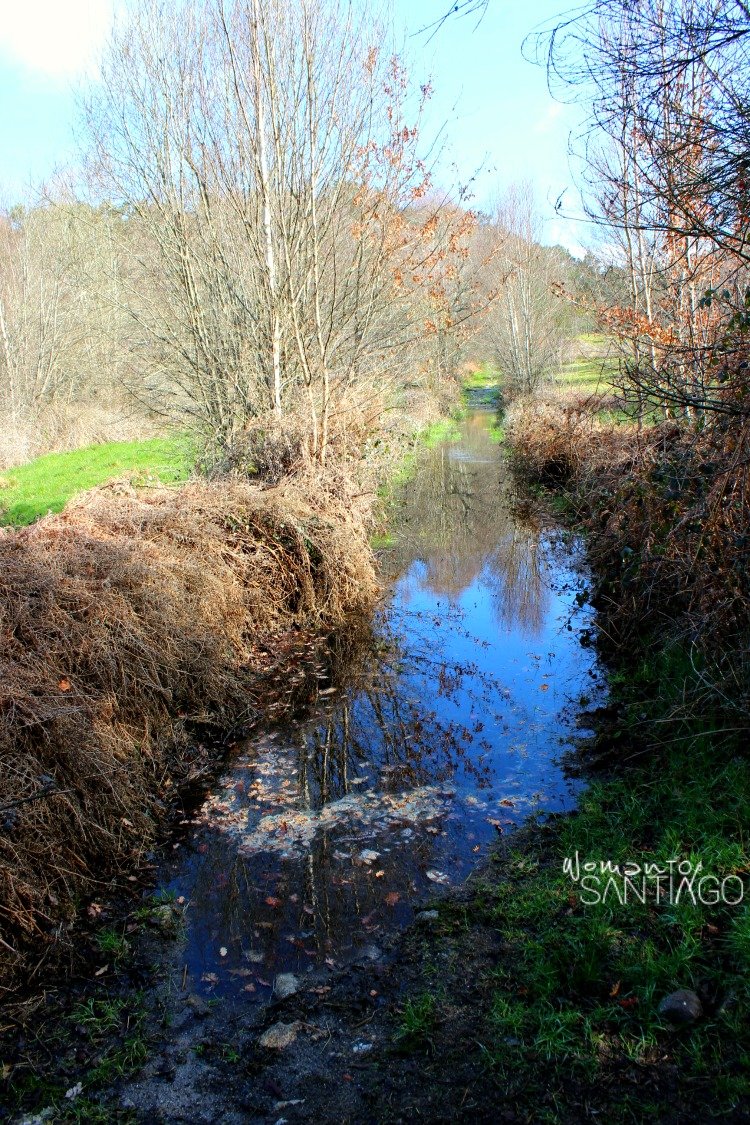 foto agua en camino de santiago arroyo-camino-sanabres