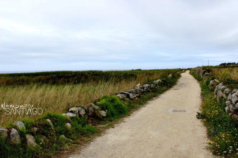foto de senda del camino