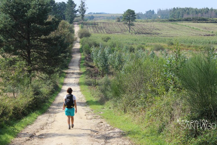 todas las etapas del camino de santiago a finisterra Noelia recorre un sendero